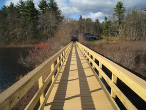 Wetland walkways with helical piers for foundation support
